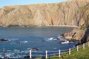 Crackington_Haven_Formation,_Hartland_Quay
