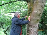 Inspecting_Epiphytes!