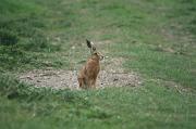 IMG_1773