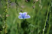 IMG_1871